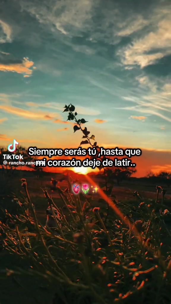 @Rosario