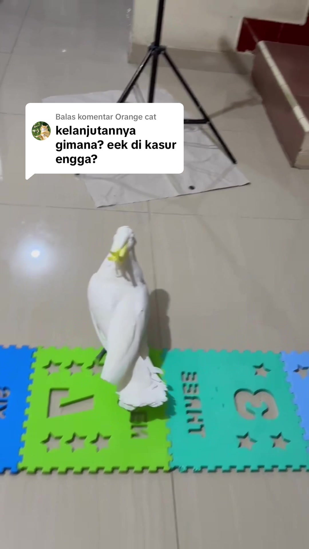 @bio_bege