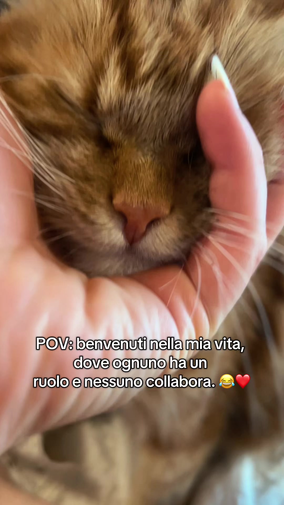 @Noeandfur 🐶🐾