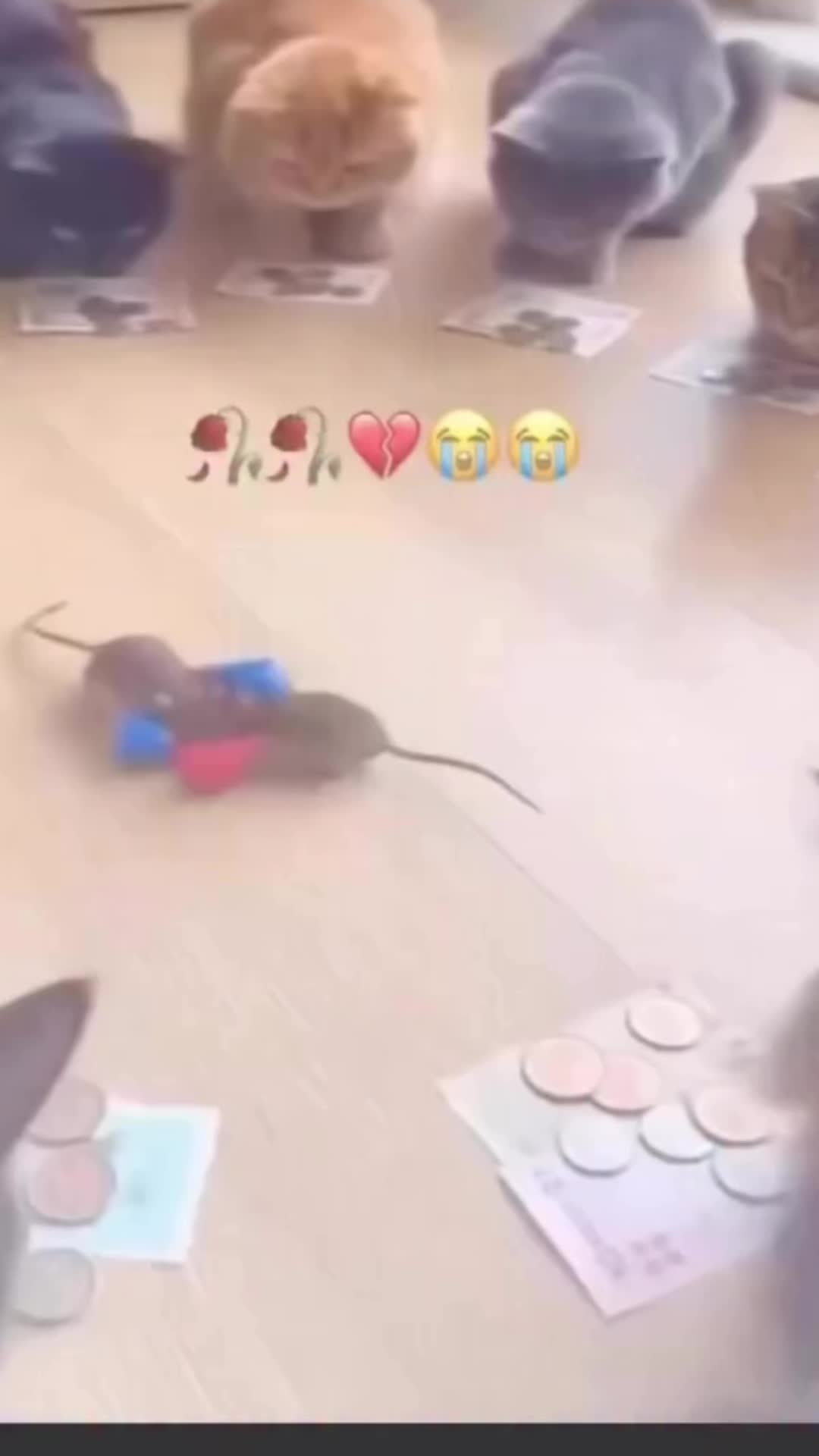 @dose_for_you