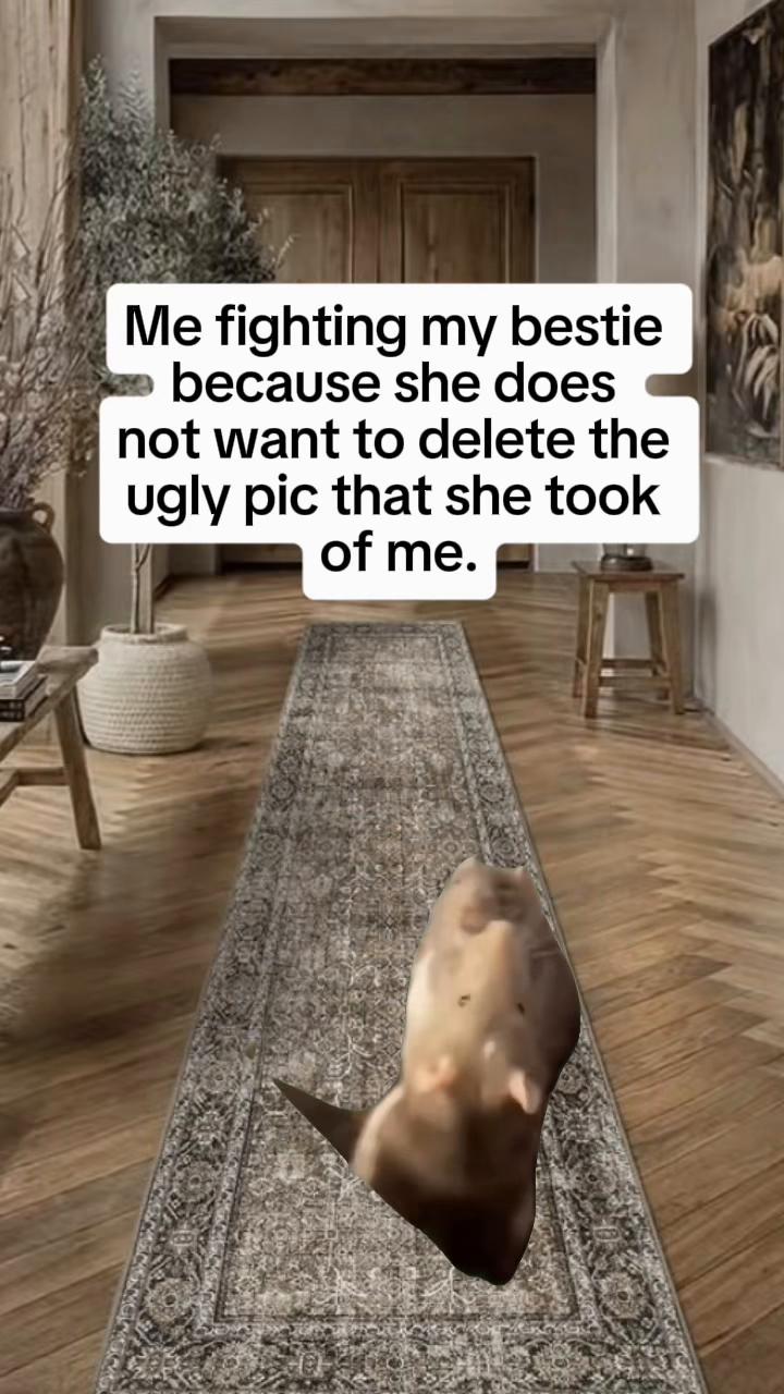 @Memestreamqueen