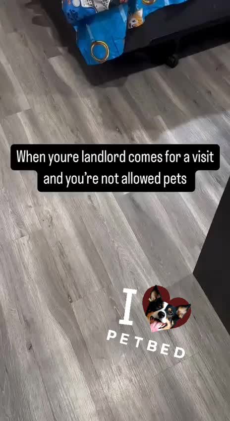 @🤣Vidéos Drôles.Zzz