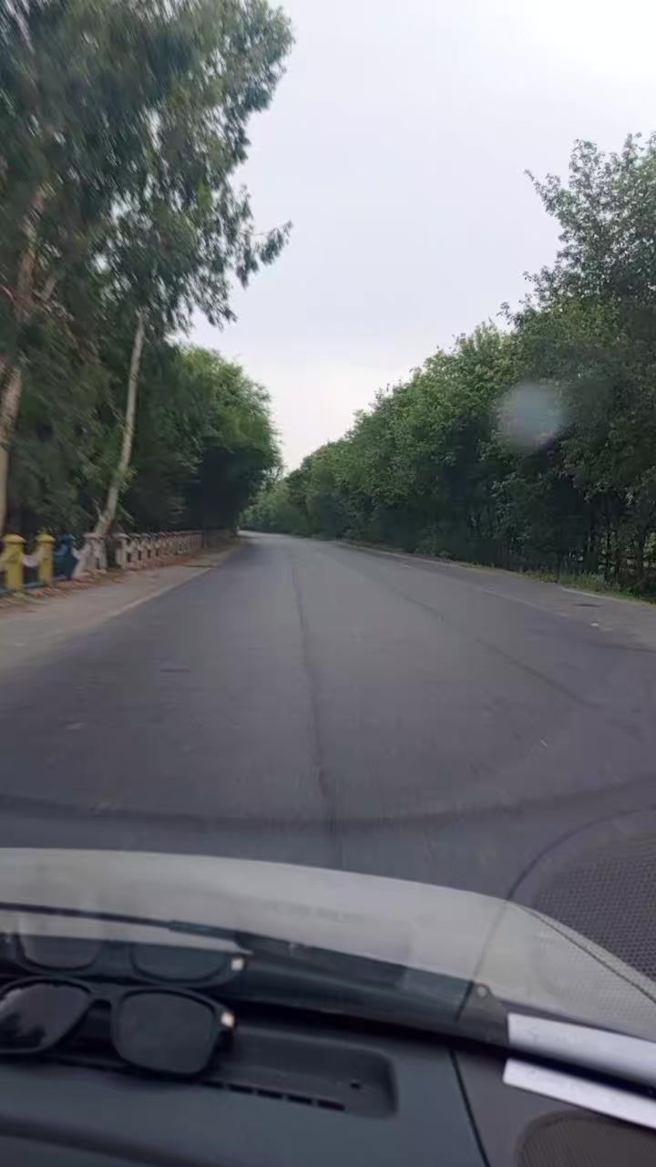 @saadmustafaarif