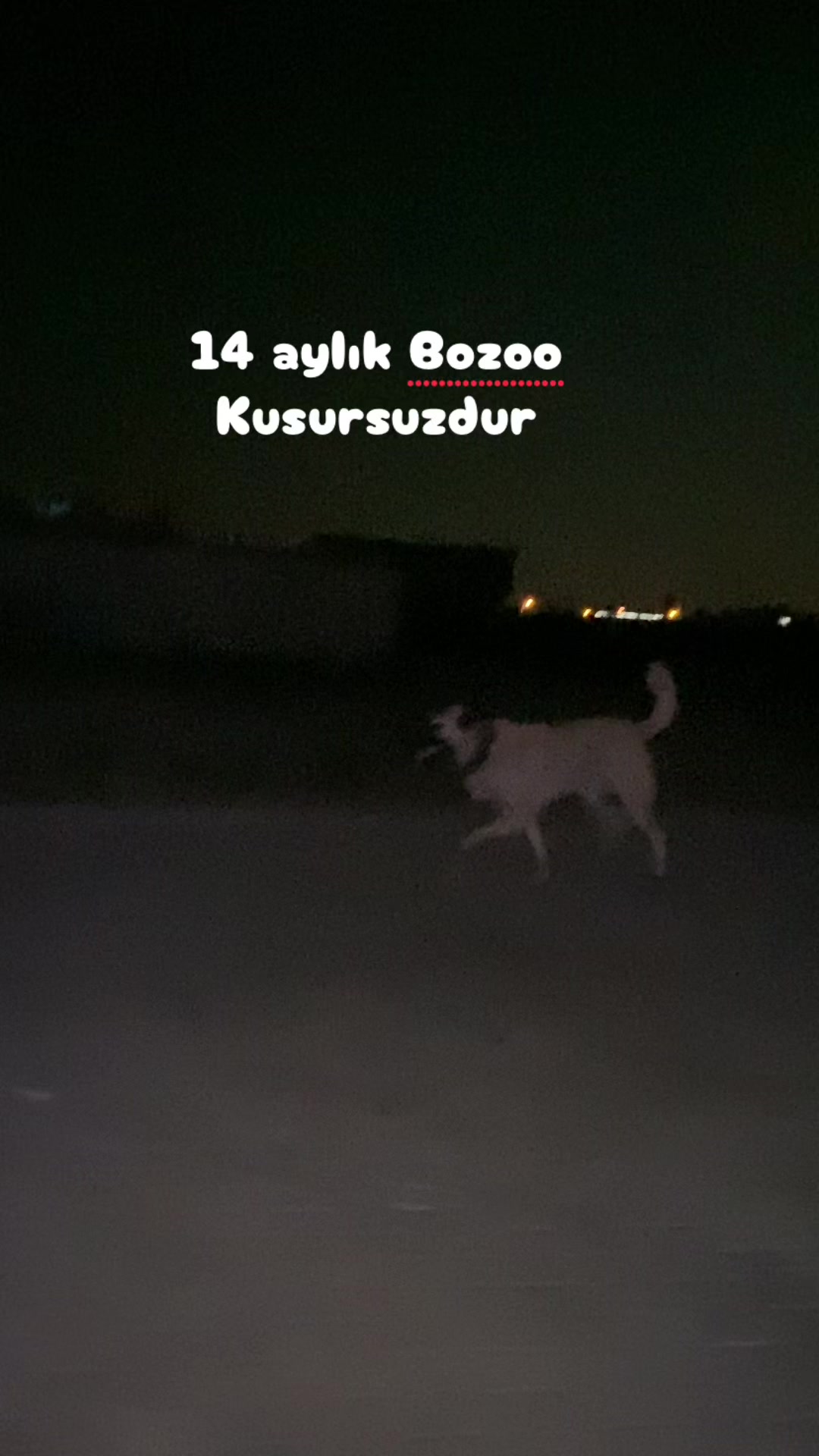 @🔥Tantuni ustası🔥