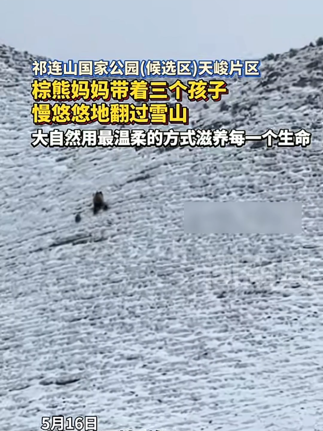 @闽南风～
