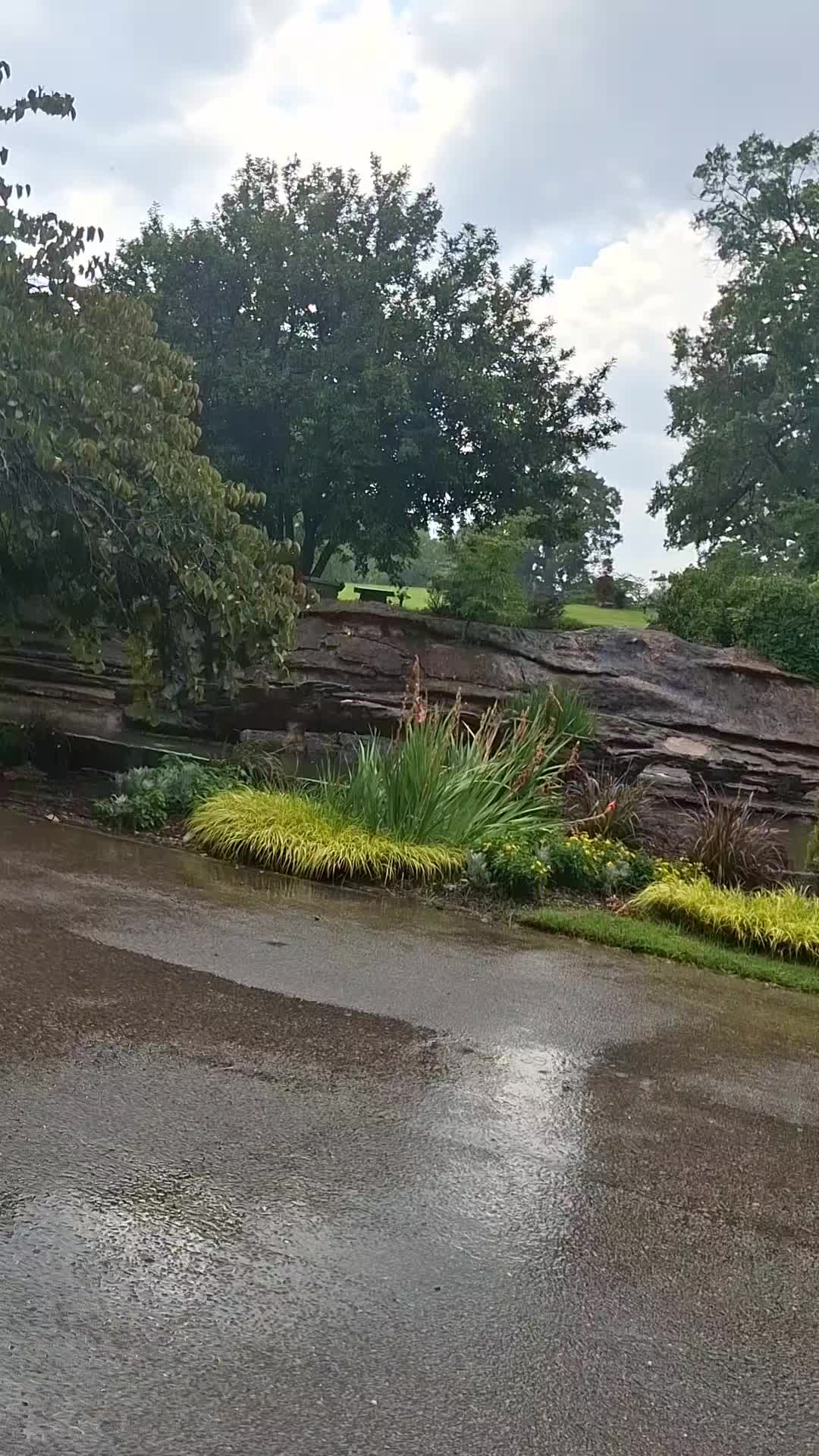 @gardening is Brutal.....