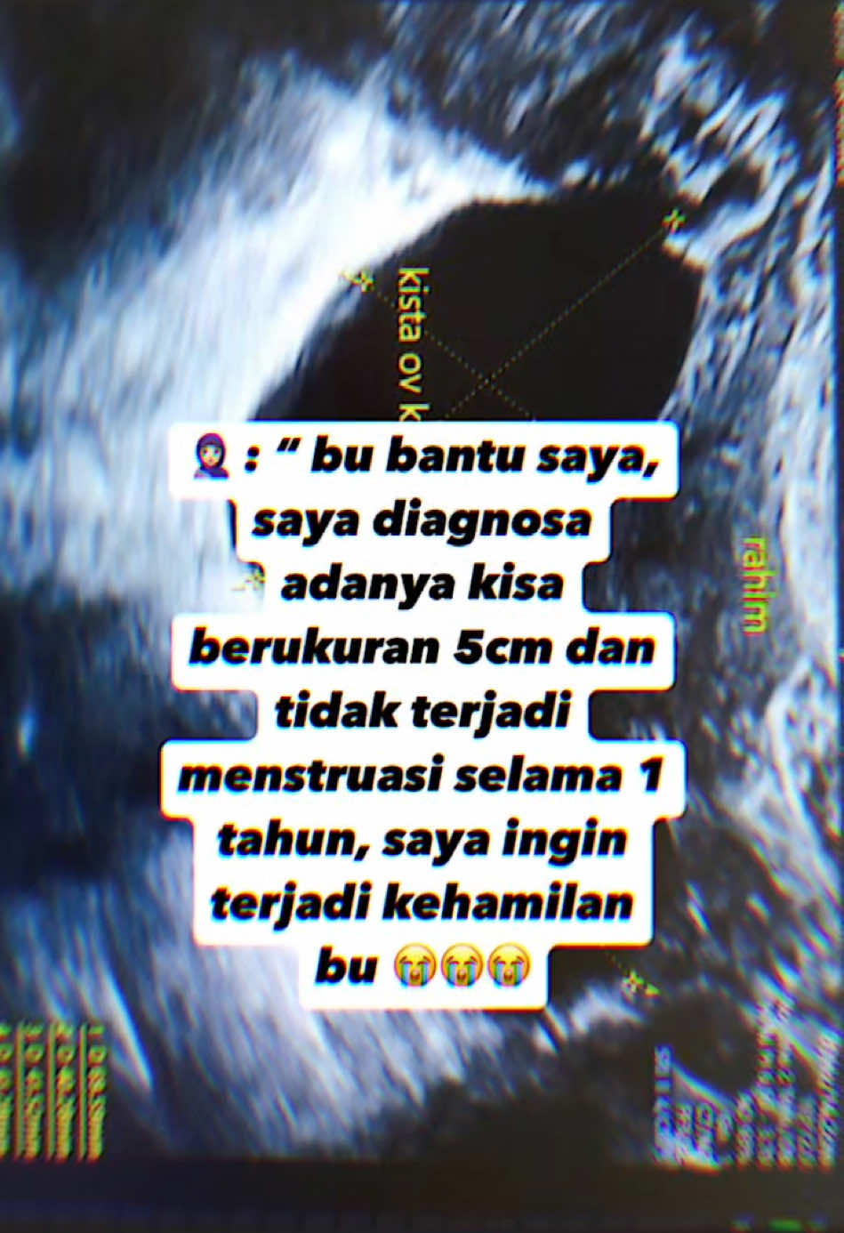 @promilholistik
