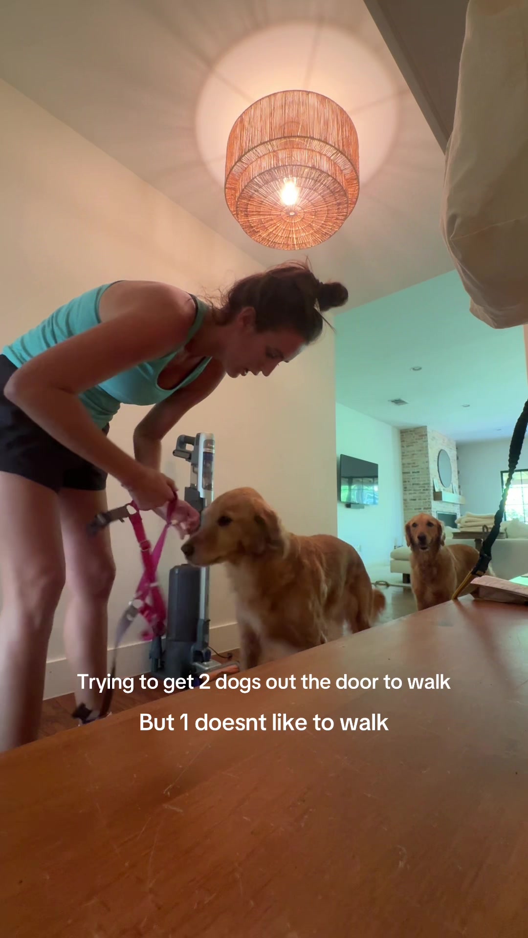 @dallasdogwalker