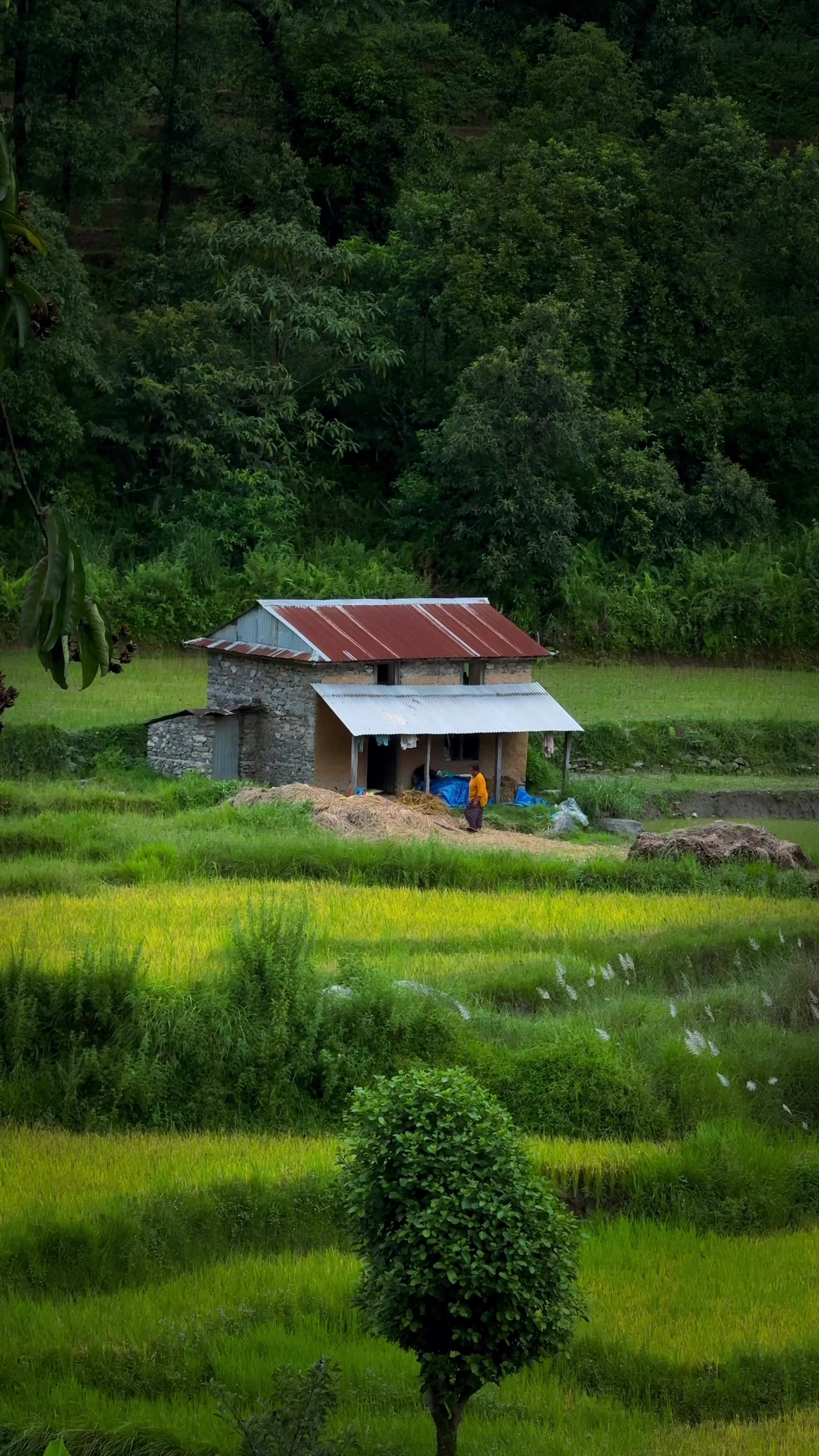 @Sudarshan Neupane