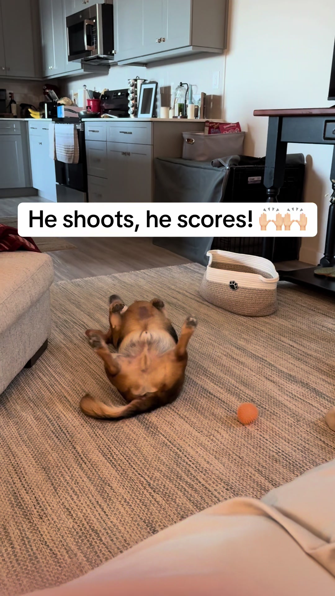 @vineanddandy