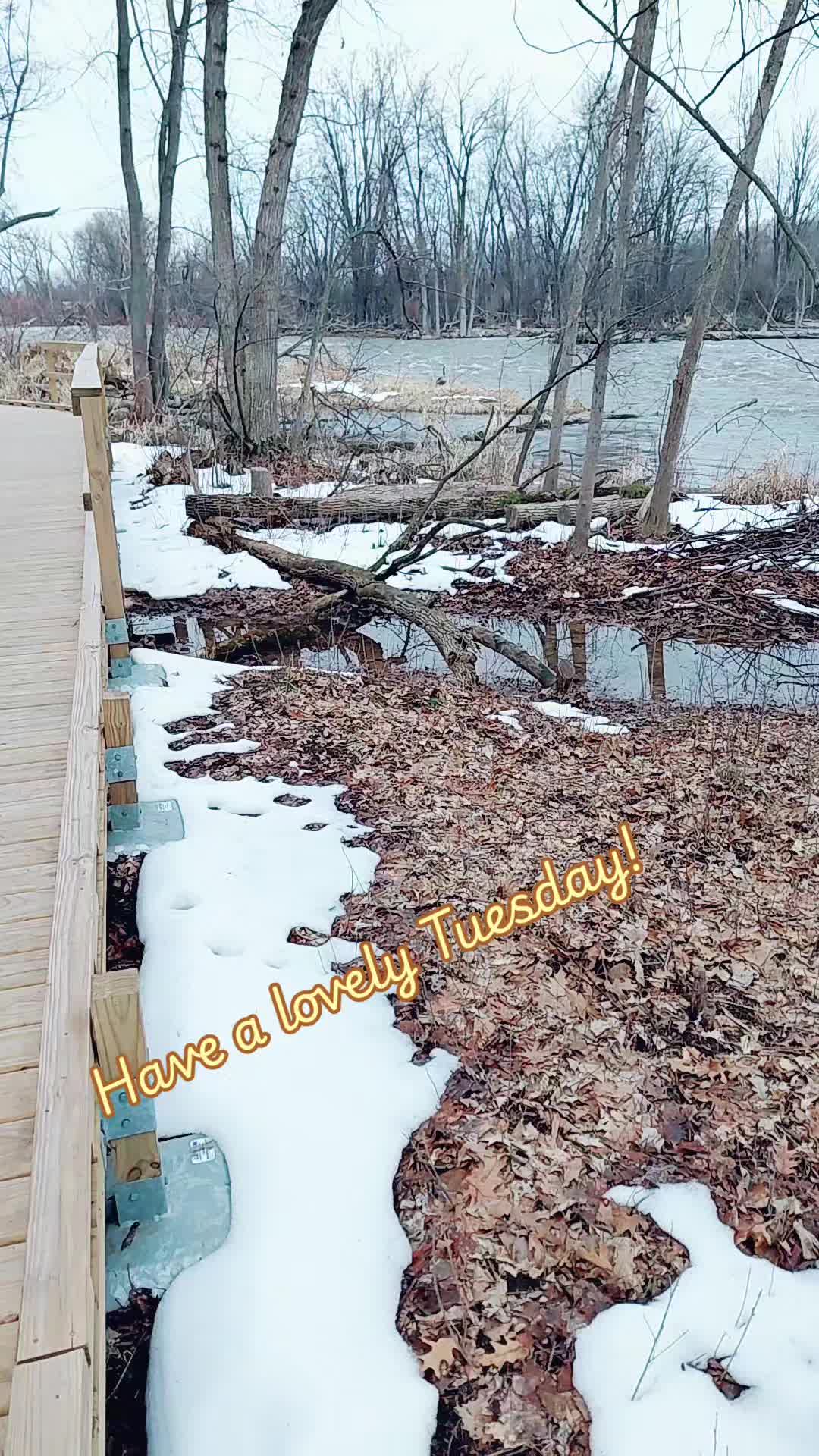 @LostYooperNerd