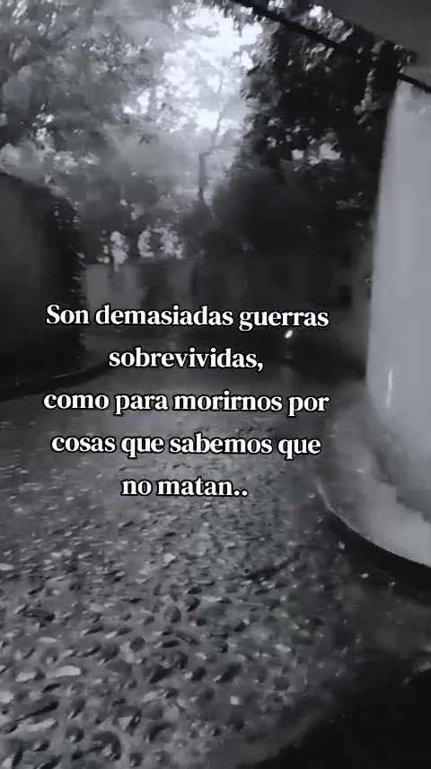 @paubonii