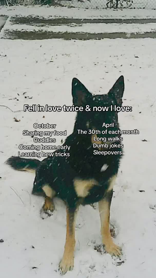 @M🤍