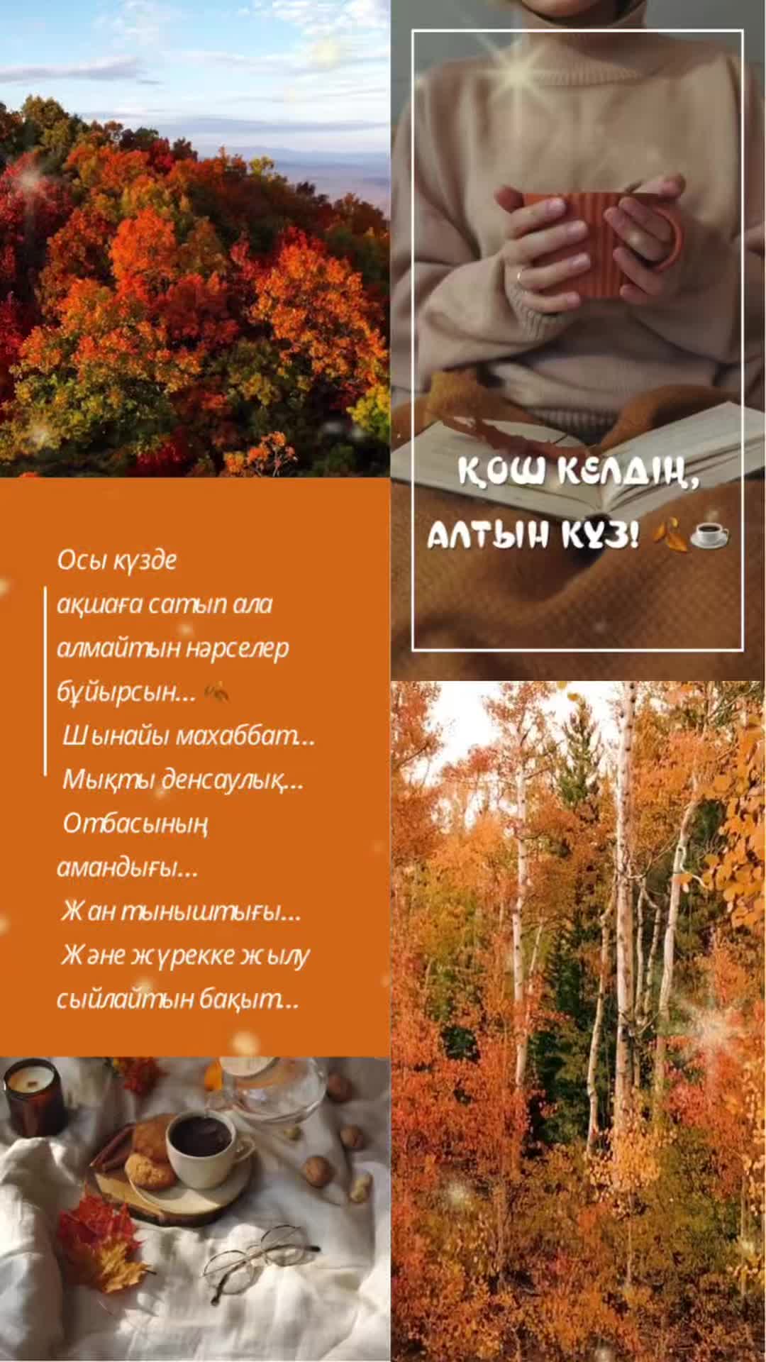 @aray_dinasil