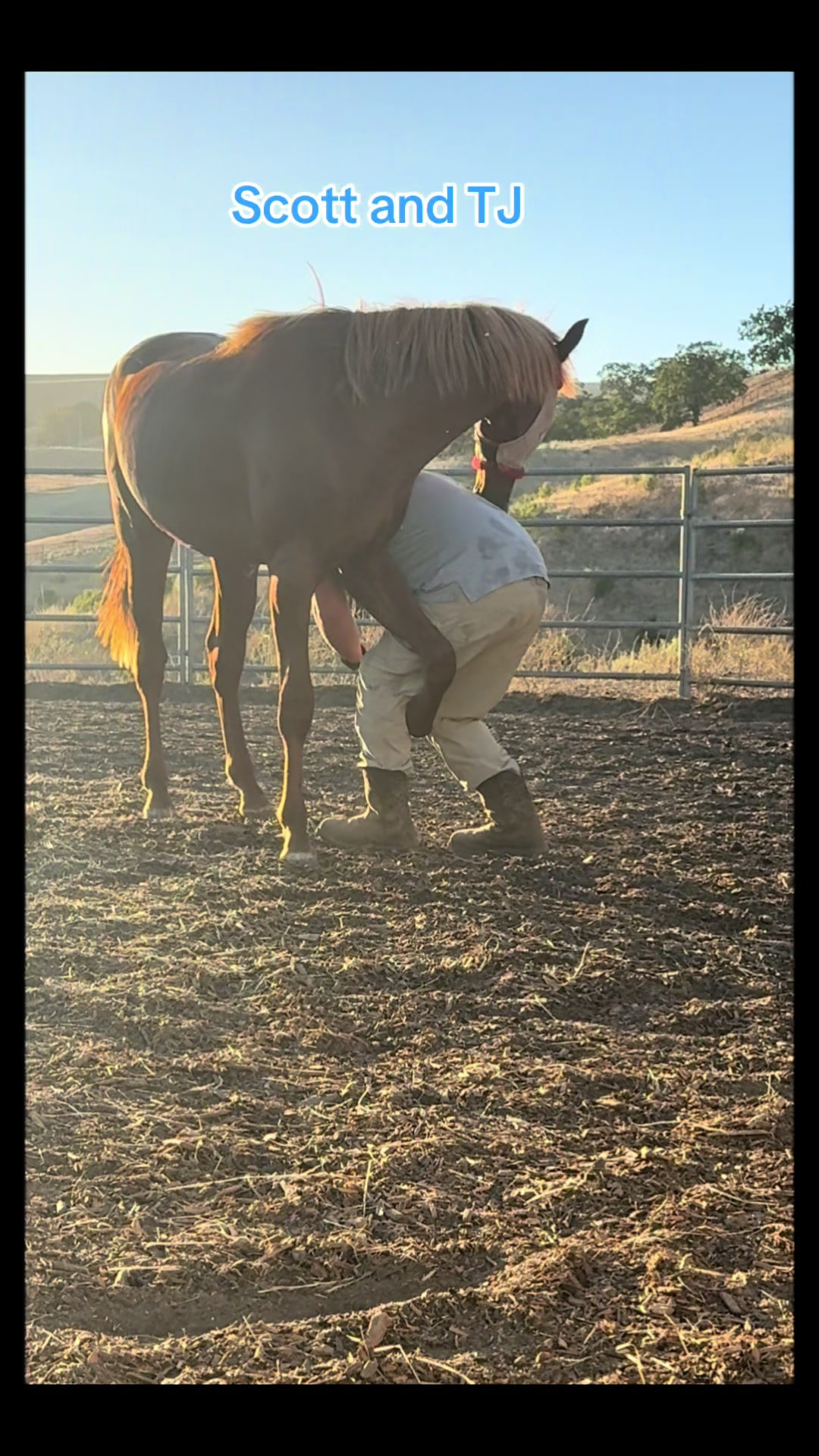 @BoeRanch14