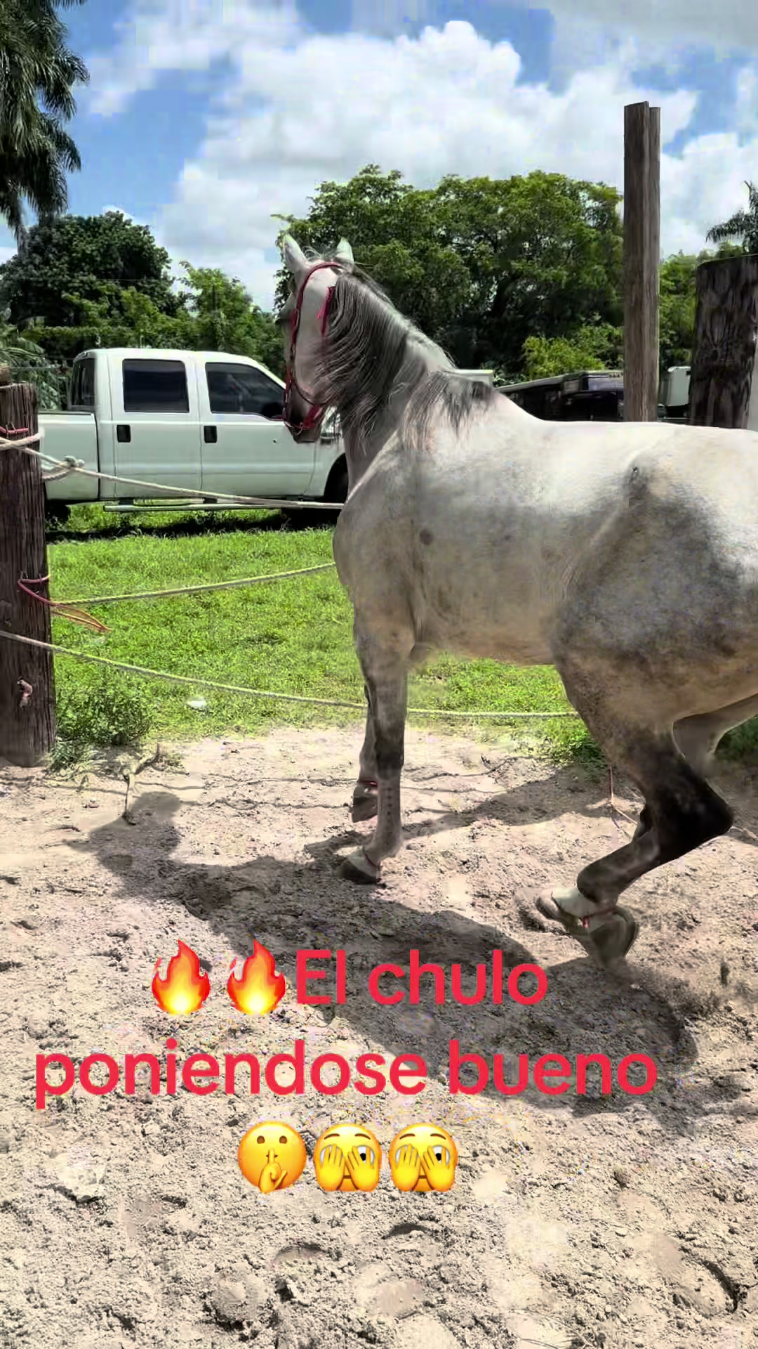 @🔥🔥❤️EL FEO ❤️🔥🔥