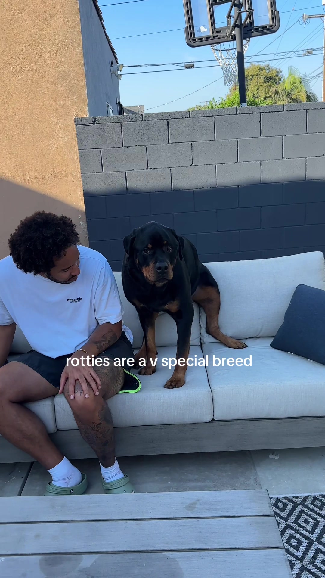 @Moose The Rottie