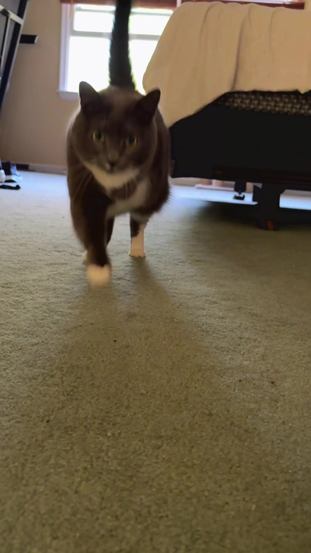 @TripawdTrio