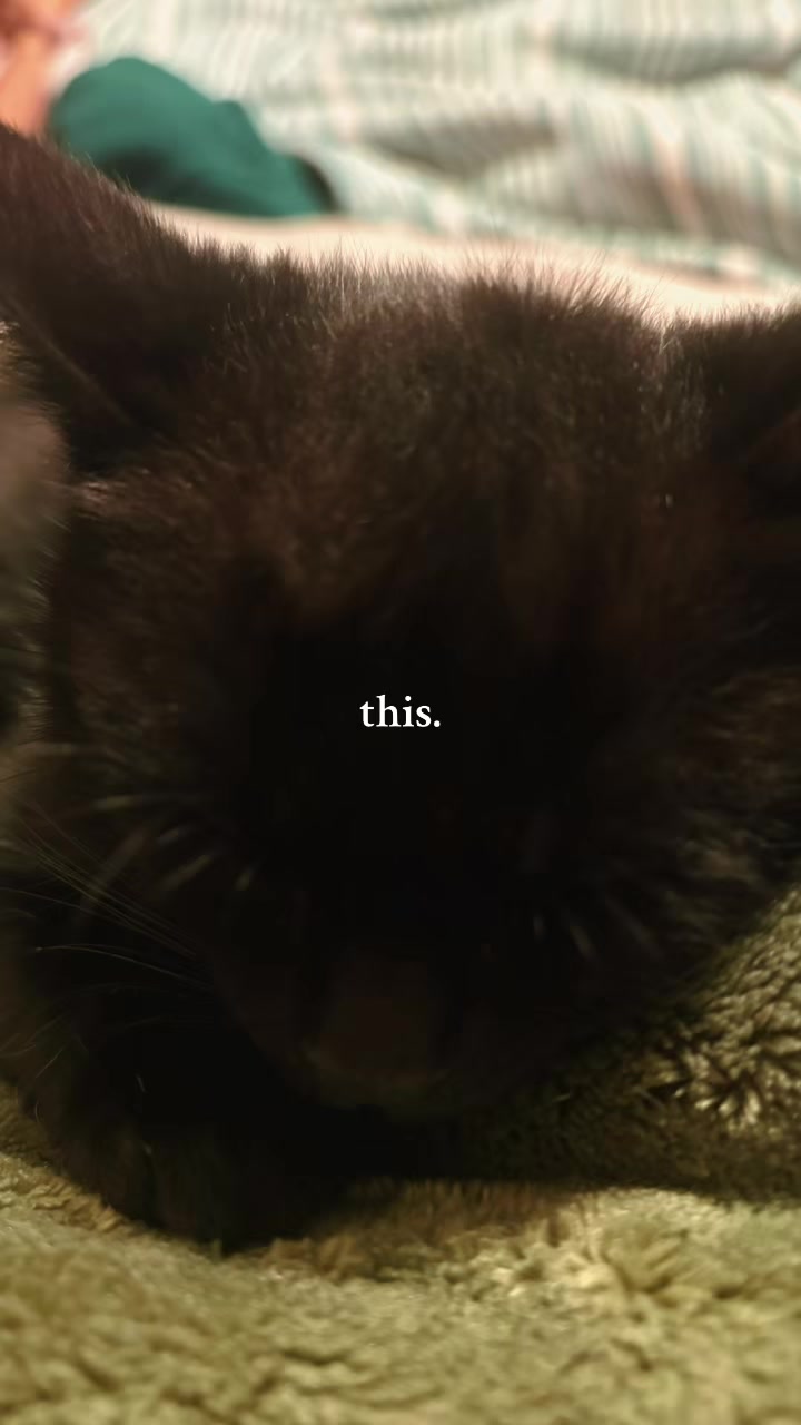 @MsGiveNoFox