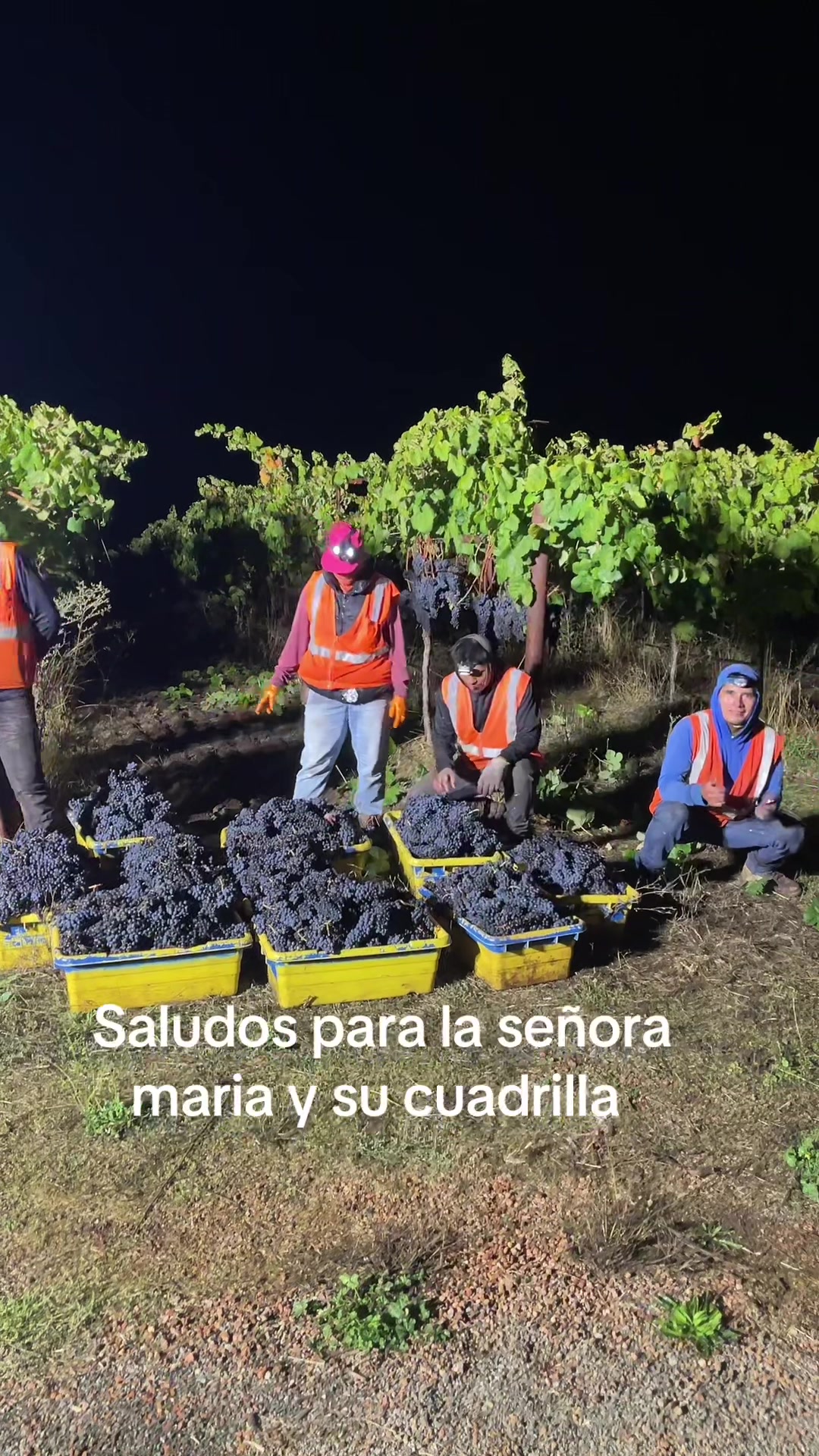 @Verónica