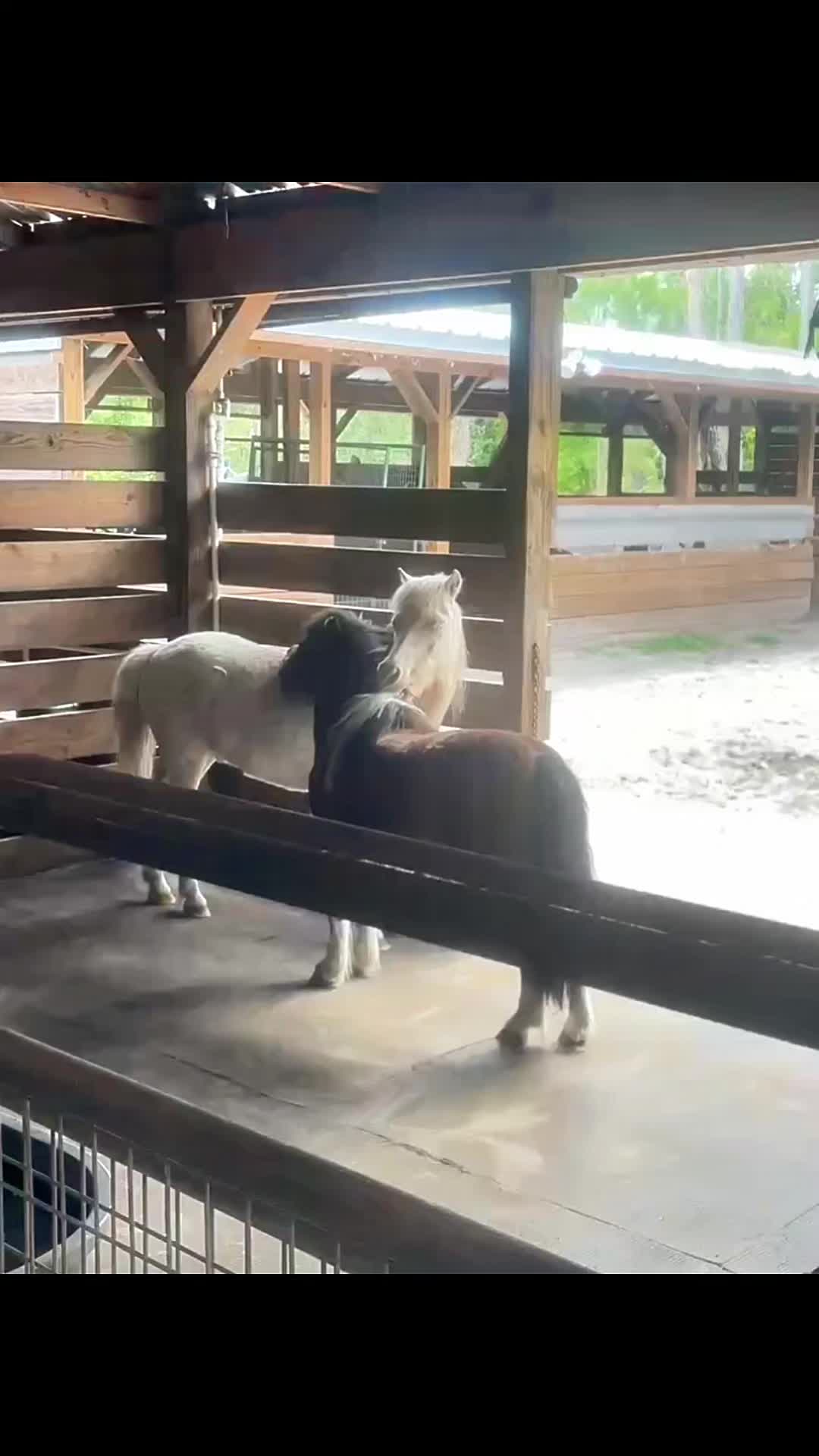 @Farmhouse Sanctuary
