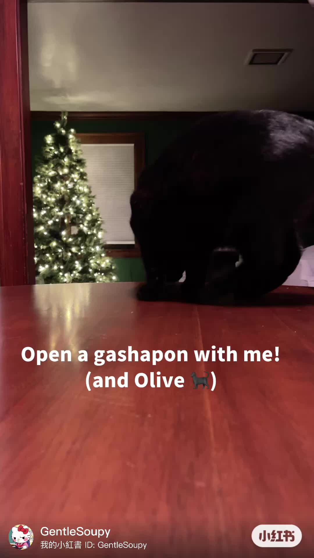 @GentleSoup