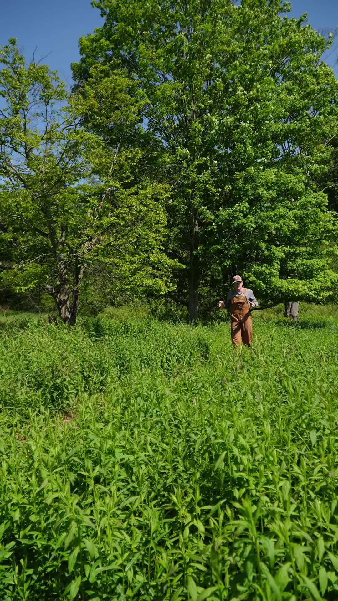 @Something in the Wild
