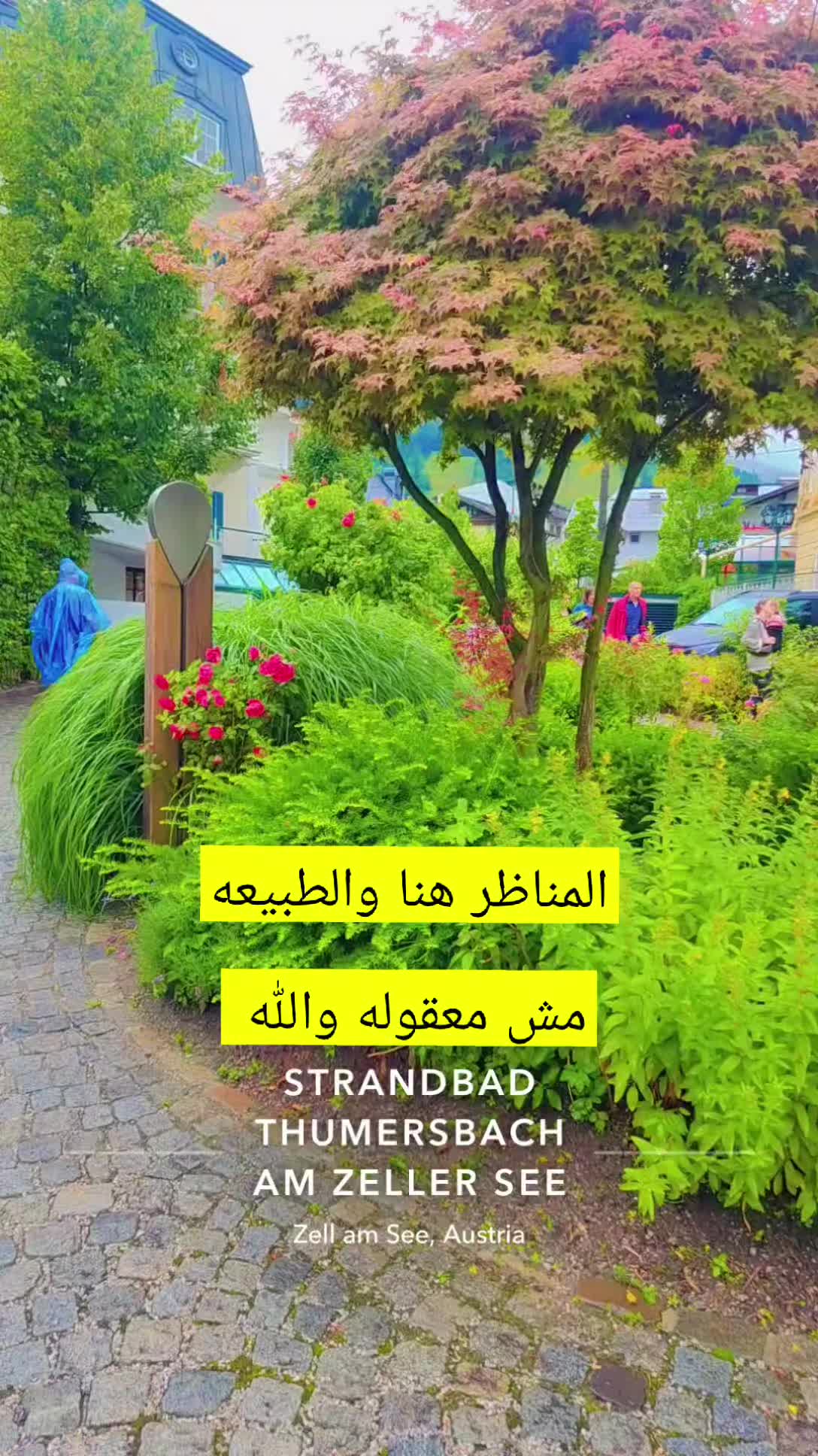 @Akil Alhalmi عقيل الحالمي