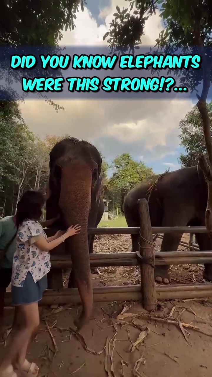 @miamakes_music