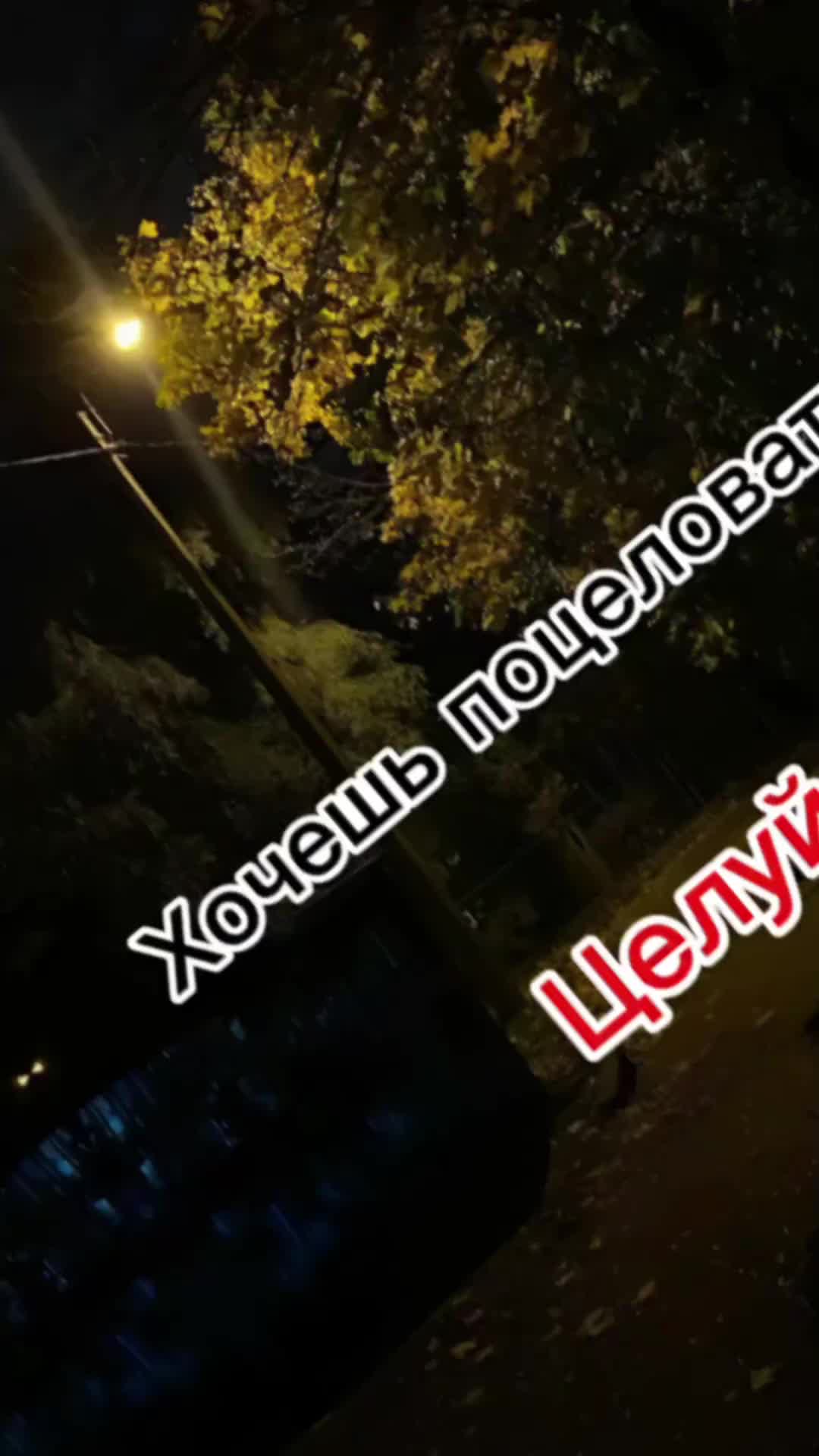 @любимый лисёнок