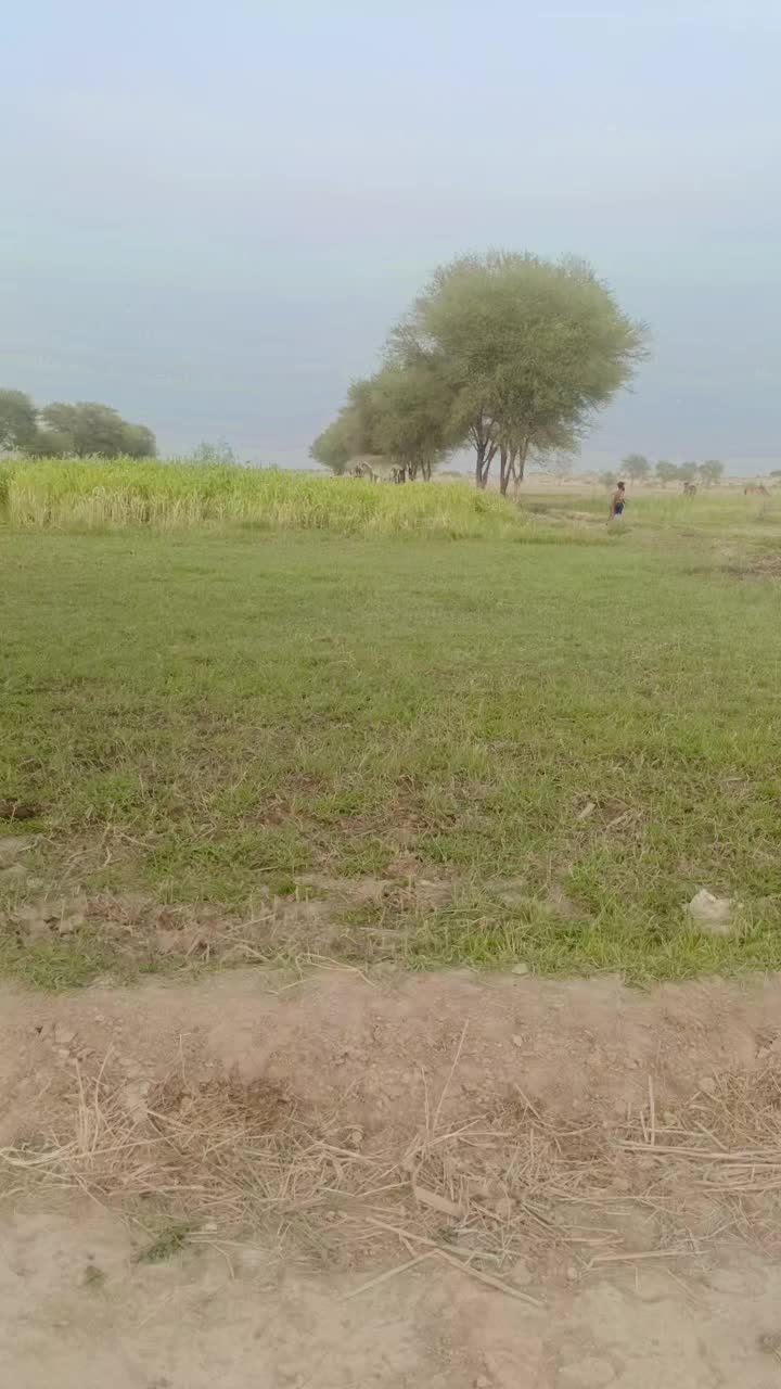 @JUNAID$IDHU