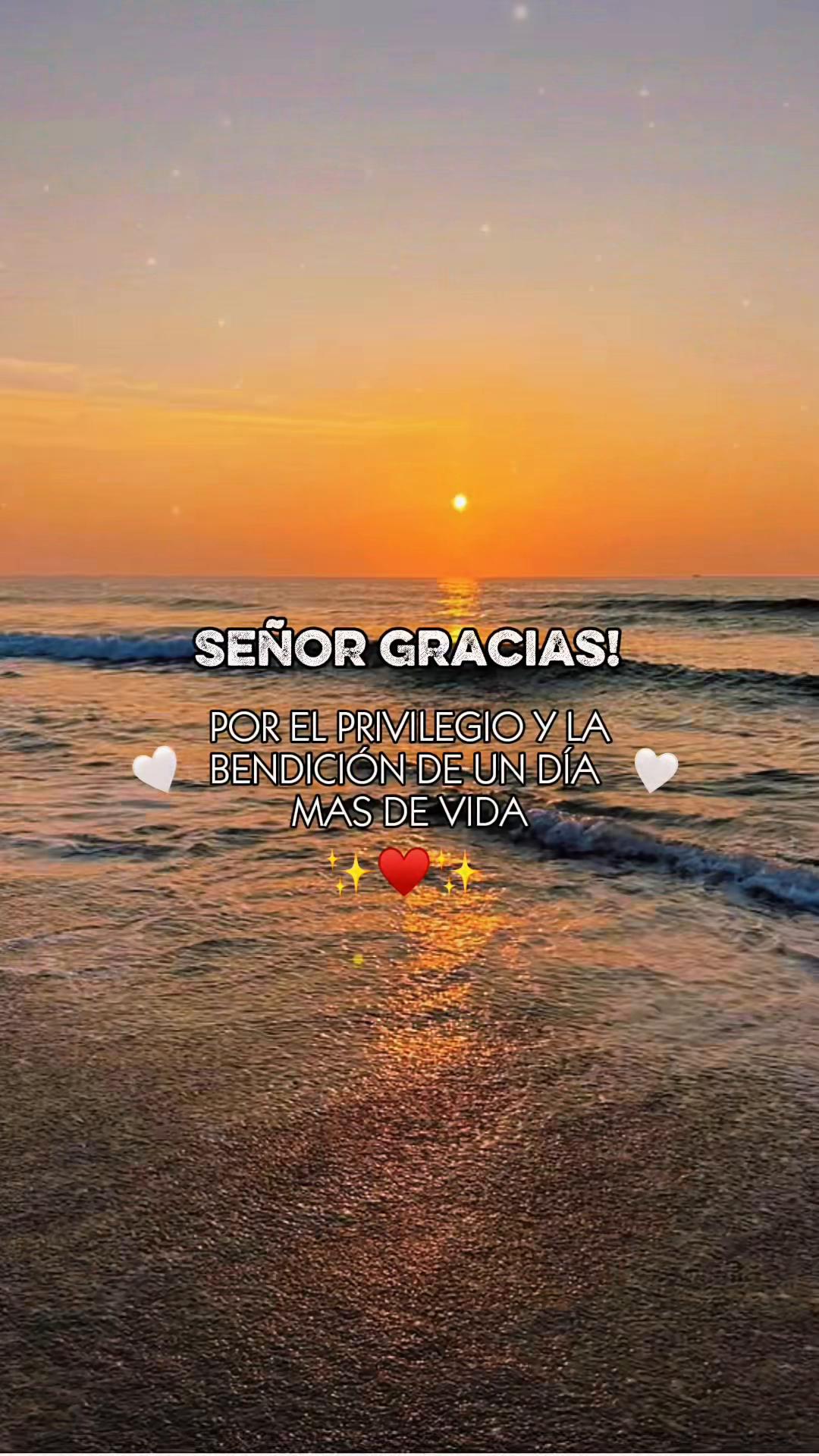 @Zoila✨🦋