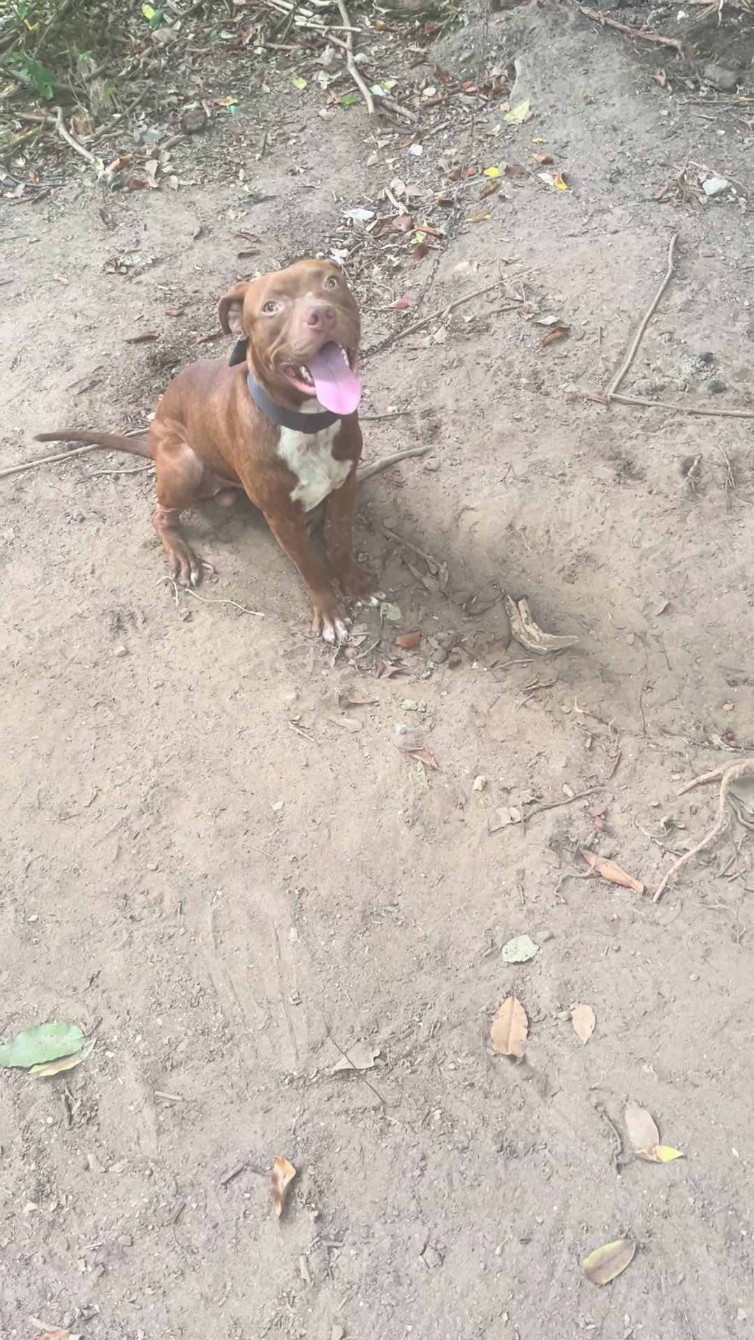 @kamwithapbt