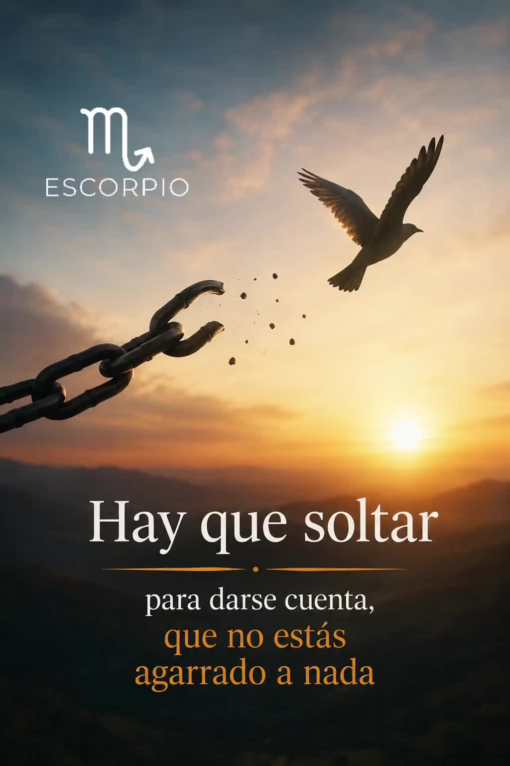 @dudarazonable