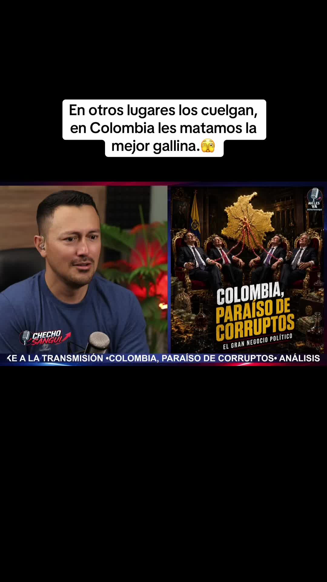 @chechosanguino