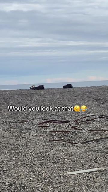 @DmitriDirks24