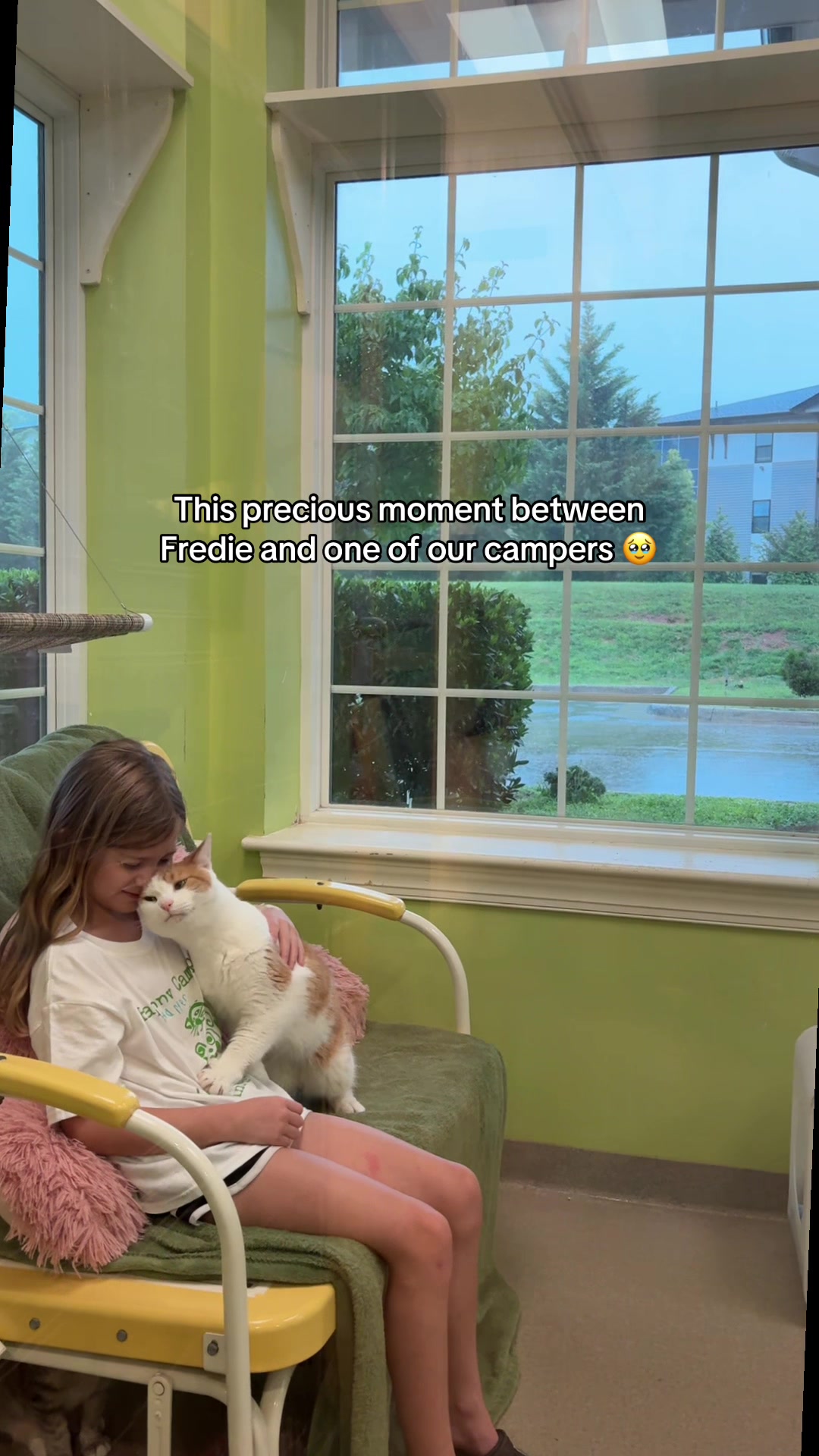 @Lynchburg Humane Society