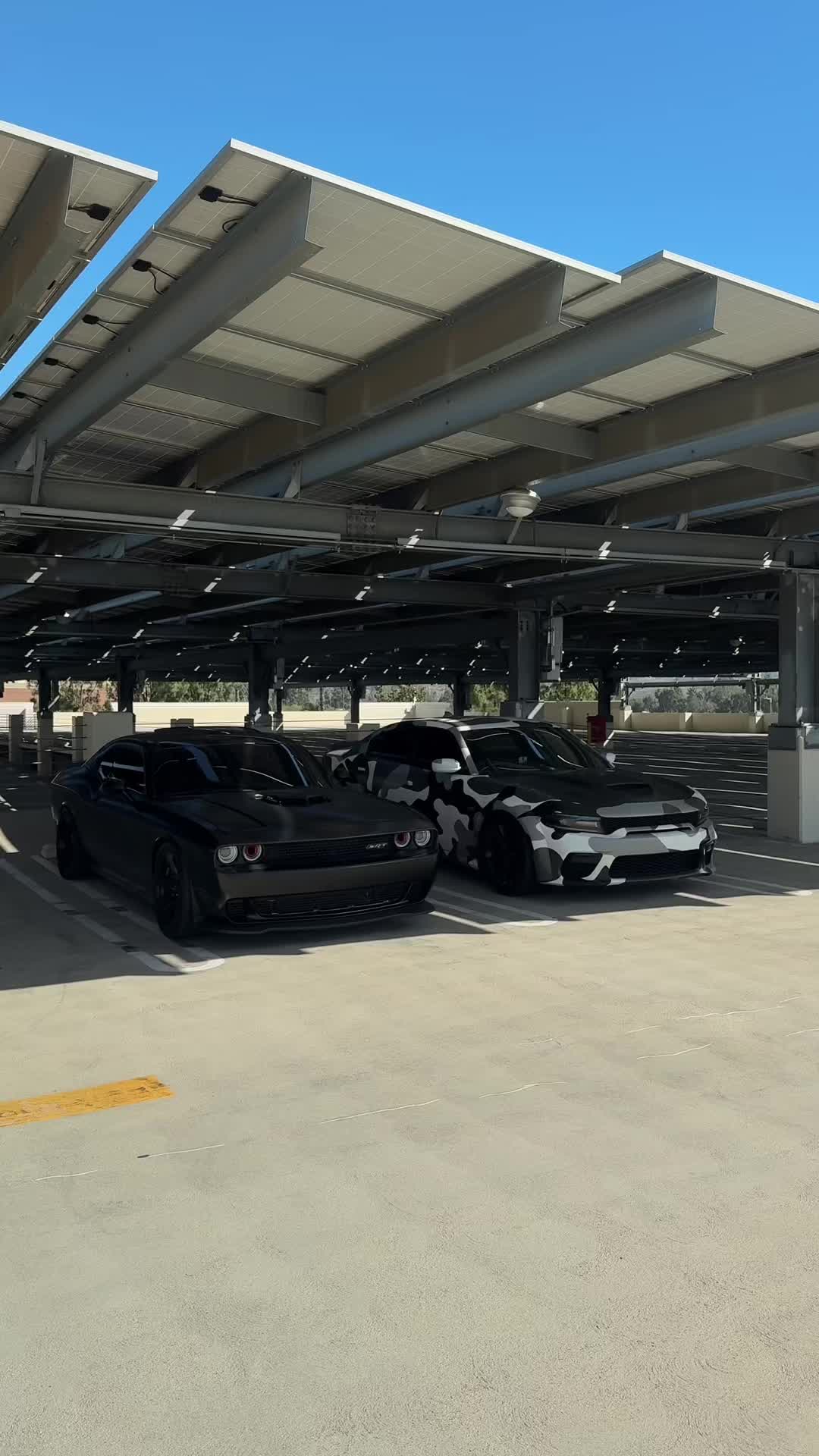@Srtcam