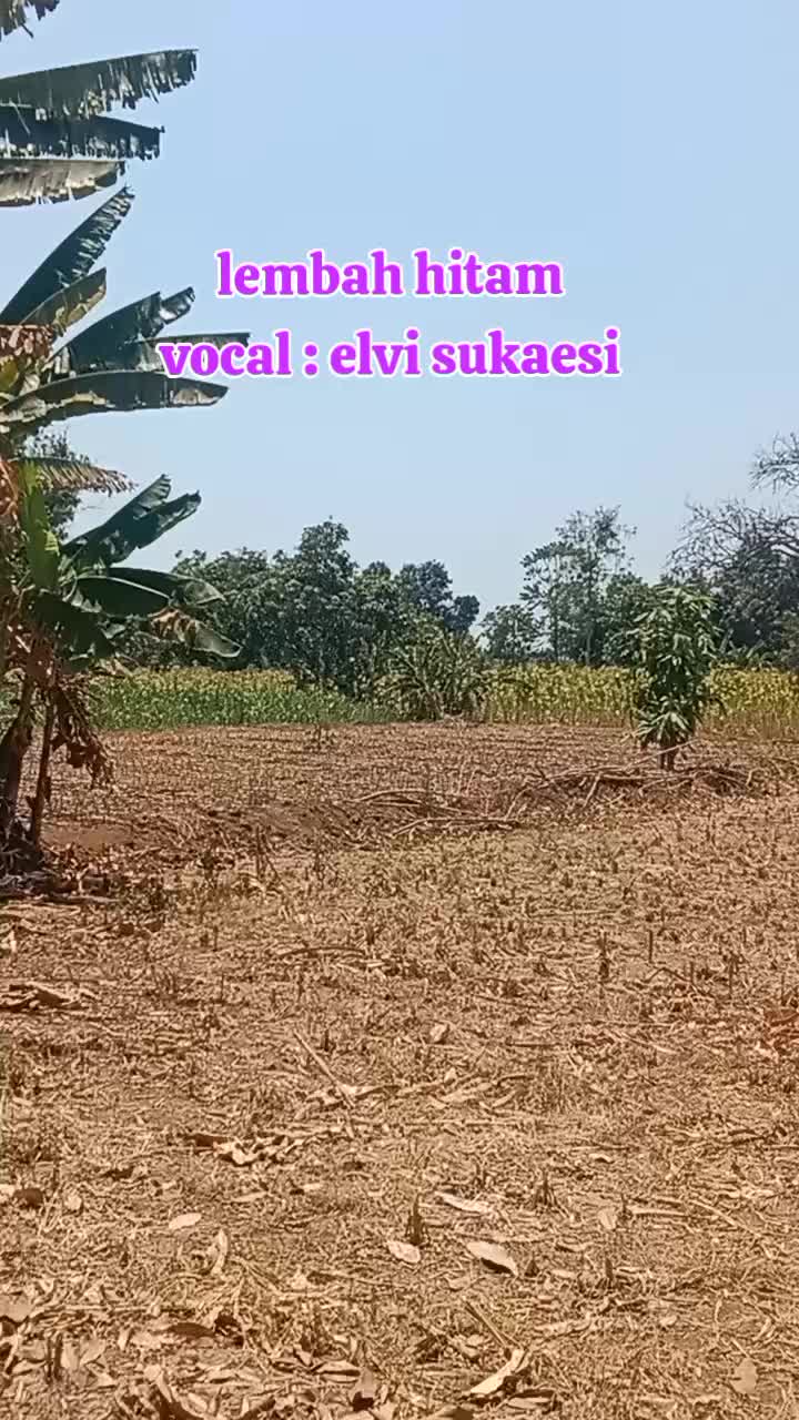 @alimuhsin74