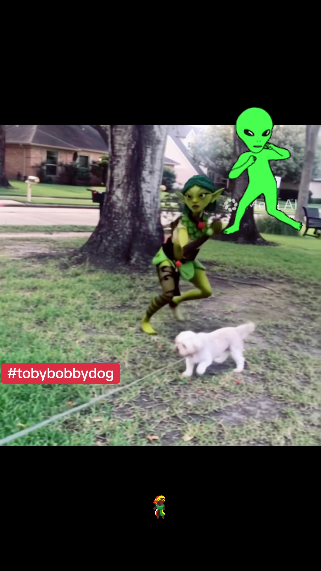 @Tobybobbydog