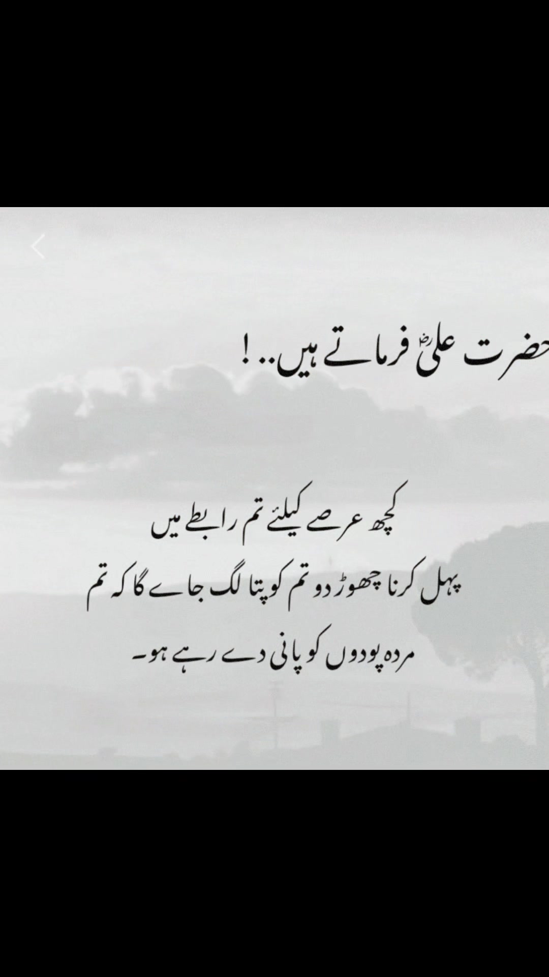@Kash🌹