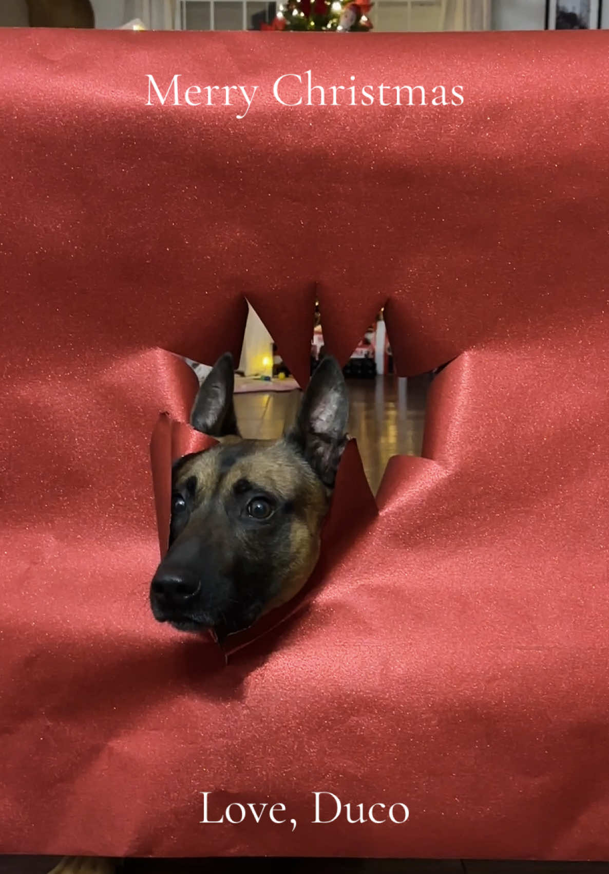 @K9DUCO