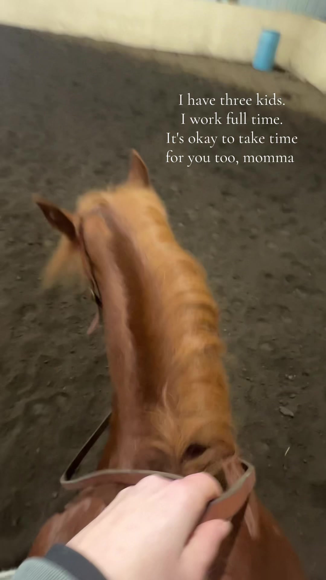 @Cait | Red Mare Owner