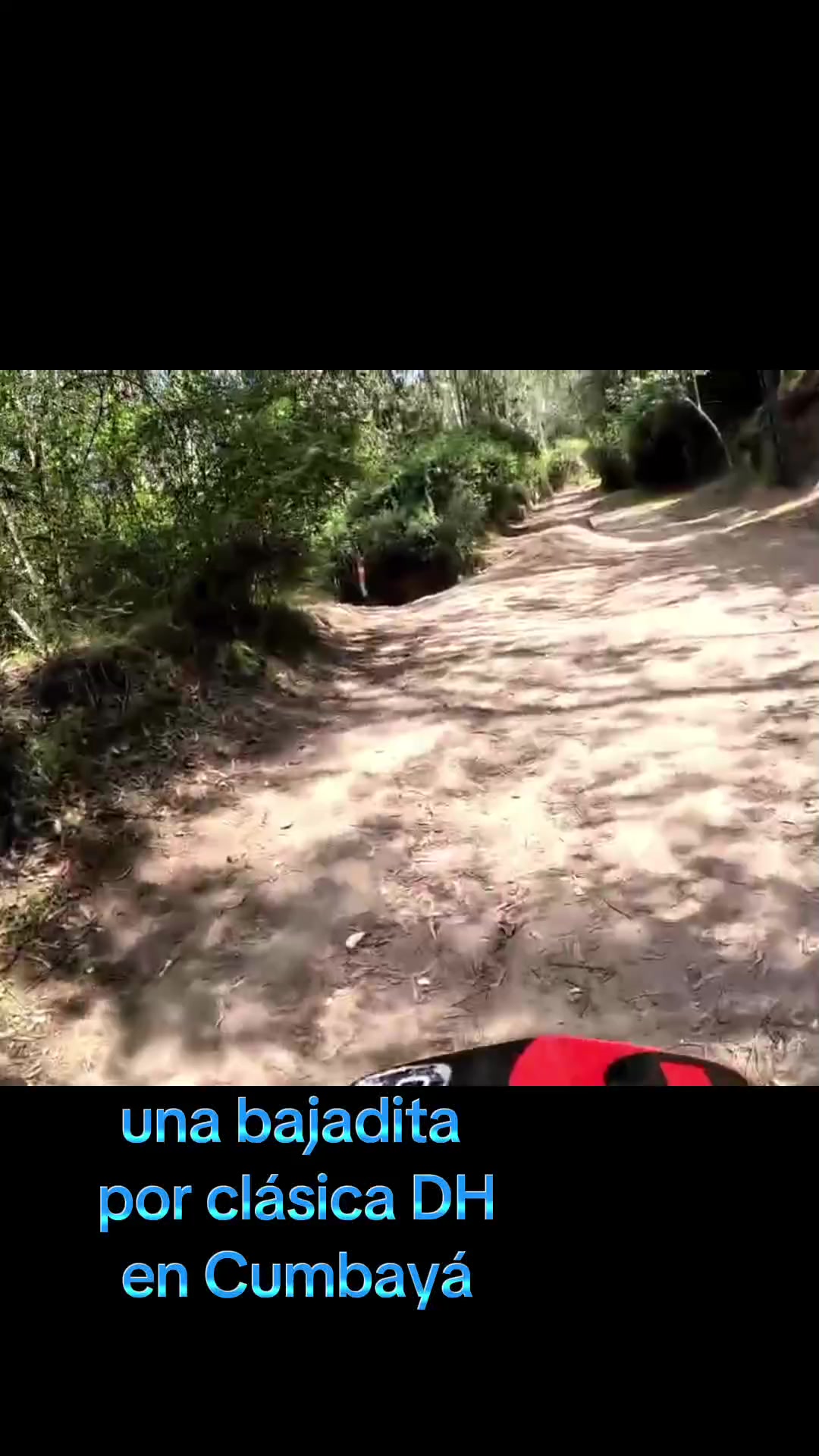 @David Carvajal