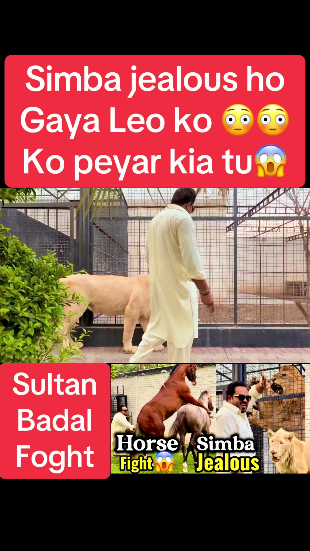 @Mian saqib