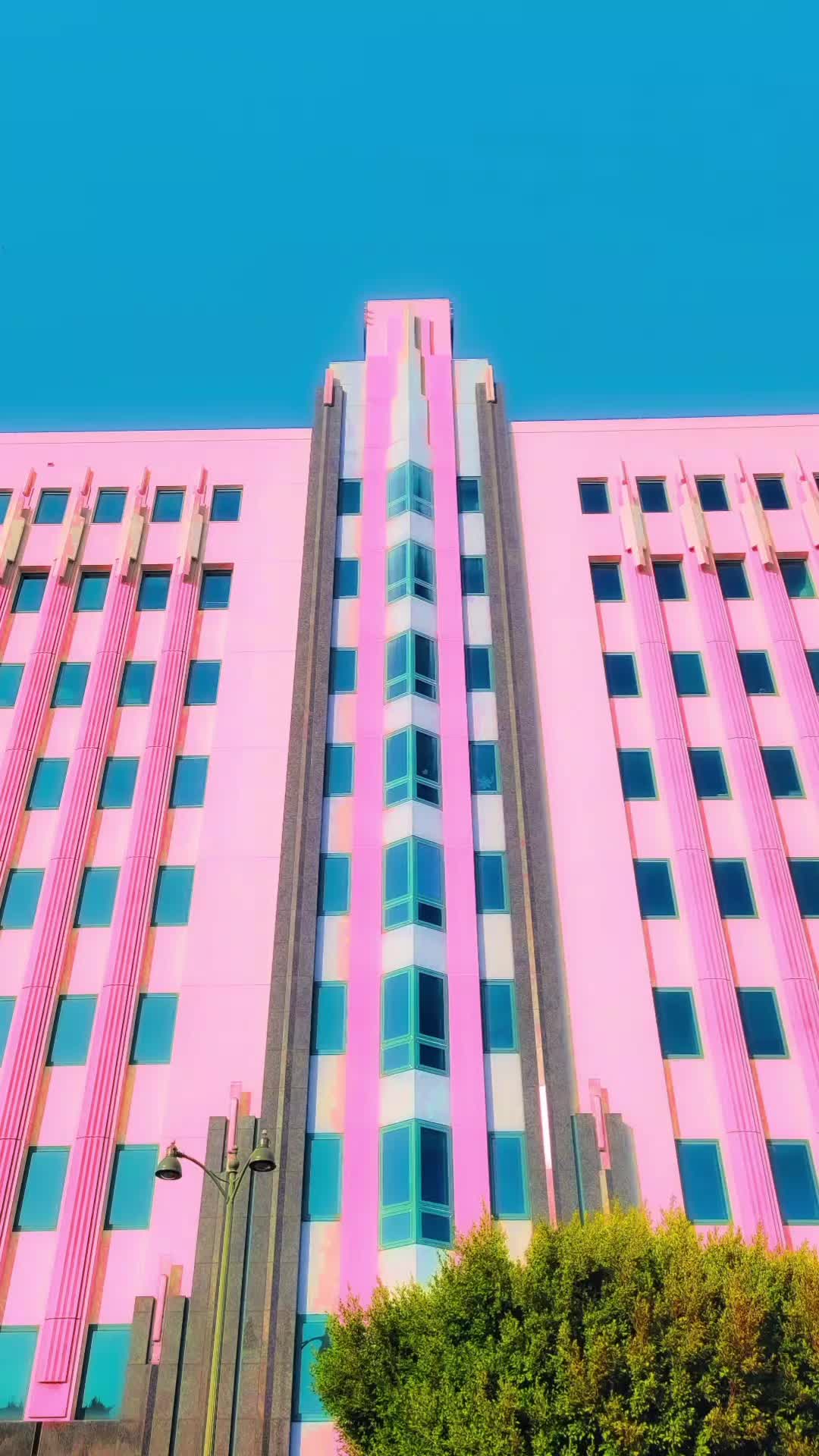 @Davin Del Amo