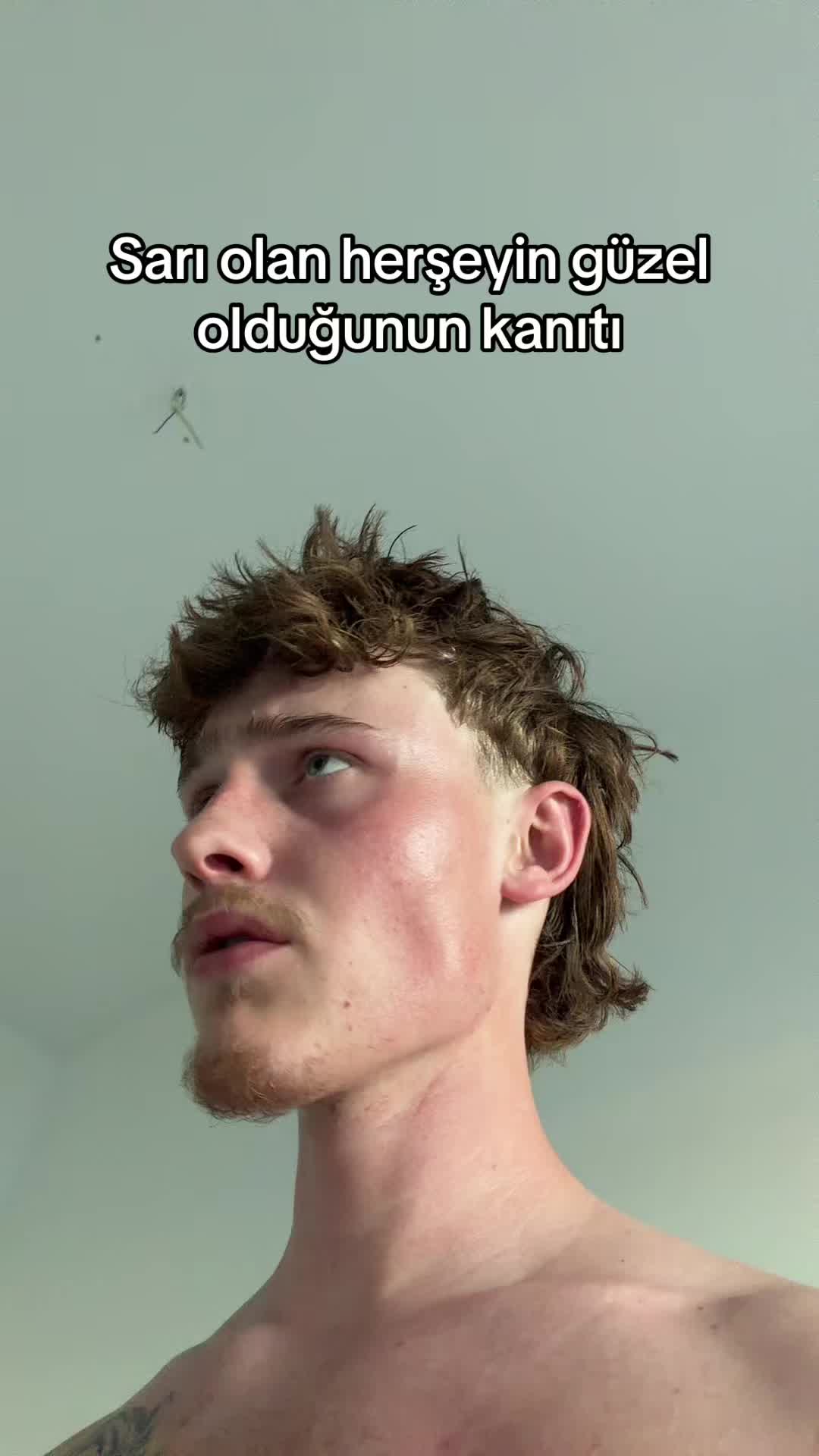 @Kuzey