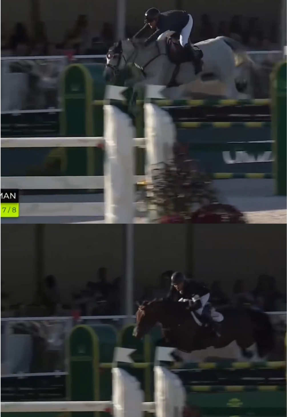 @Major League Show Jumping