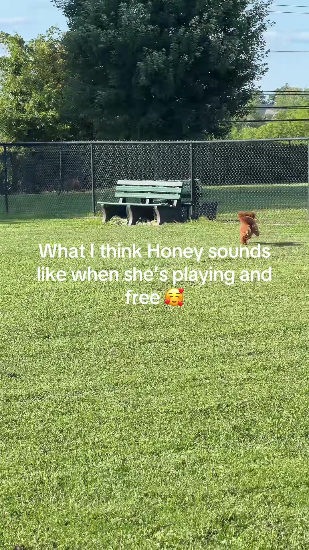 @Itsdanny16