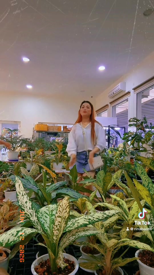 @Rina barely🇳🇵